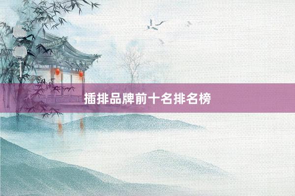 插排品牌前十名排名榜