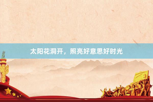 太阳花洞开，照亮好意思好时光